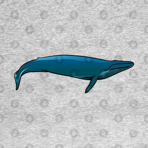 Blue Whale by Sticker Steve